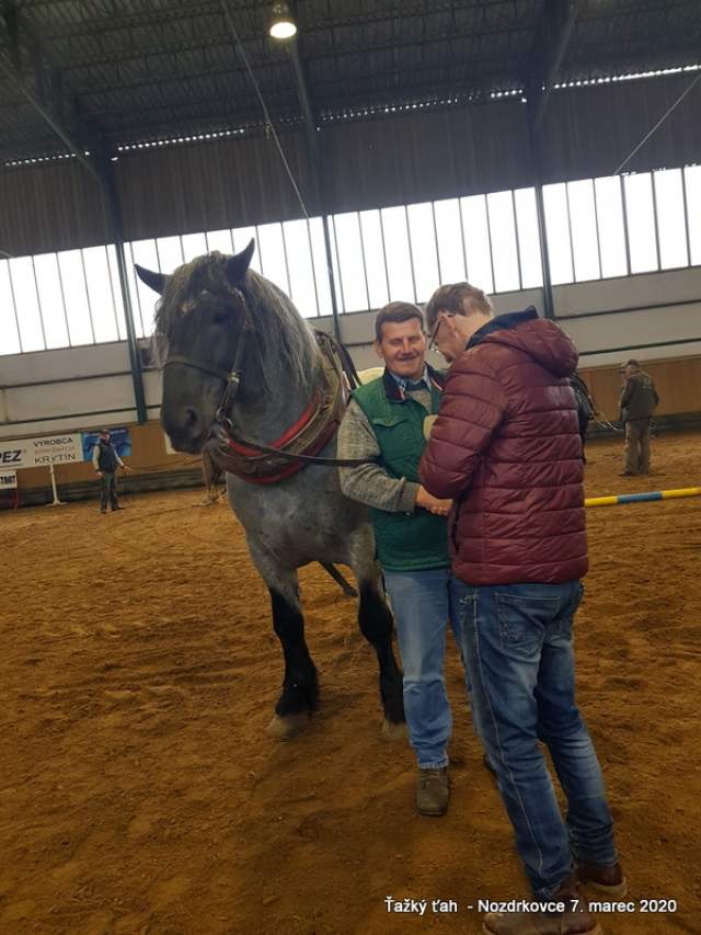 T_Toth_III_miesto_starsie_zrebce